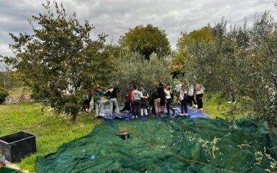 „MASLINA“ PROJEKTNI EKODAN U OSNOVNOJ ŠKOLI FRANE PETRIĆA